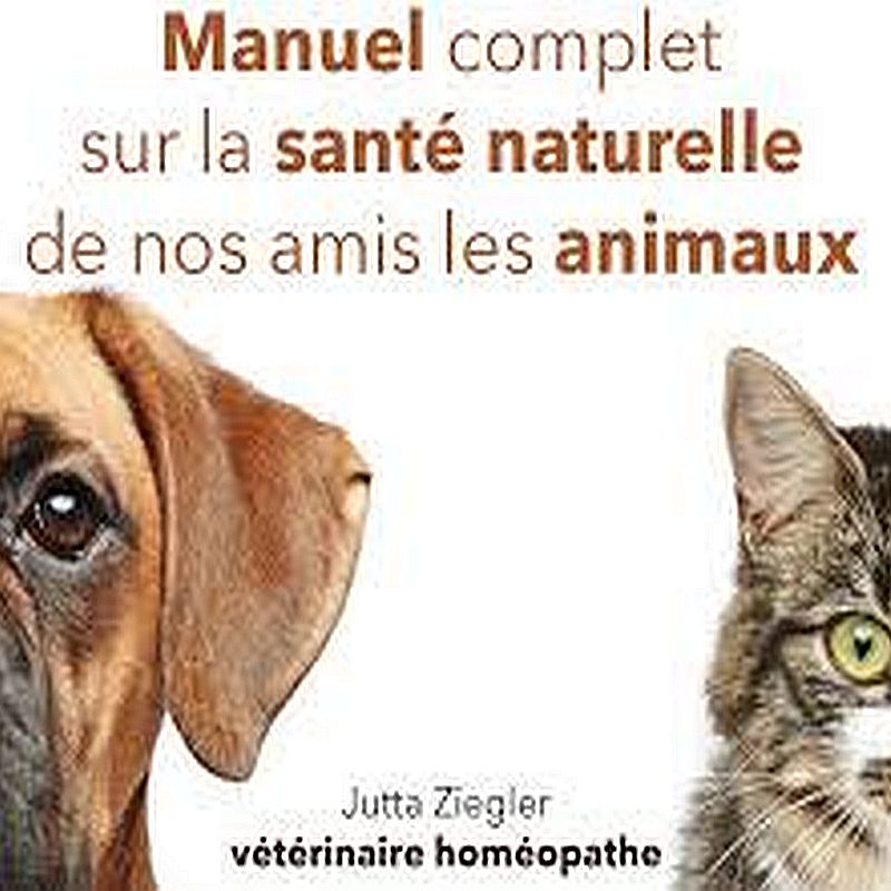 Soins pour Chats