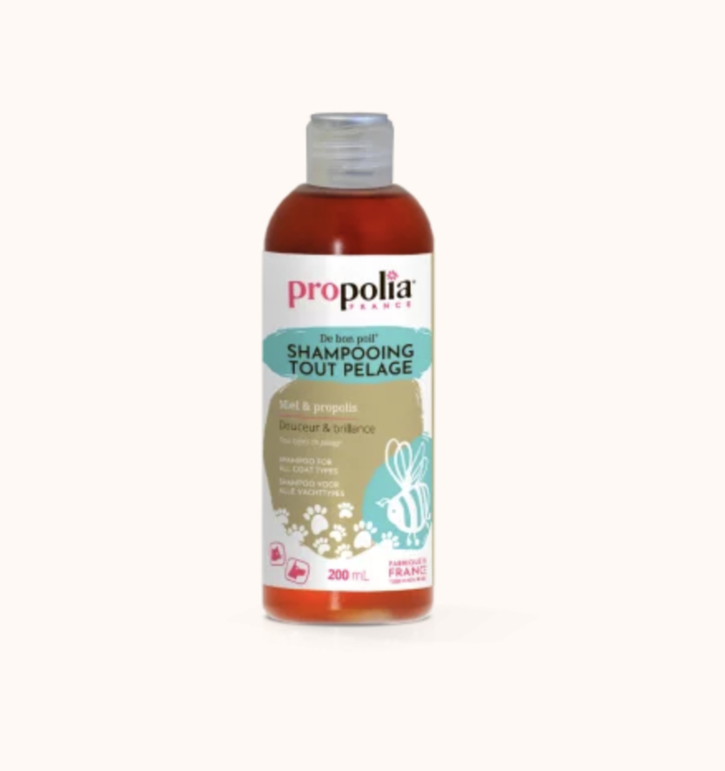 Shampoing tout pelage - Miel & Propolis